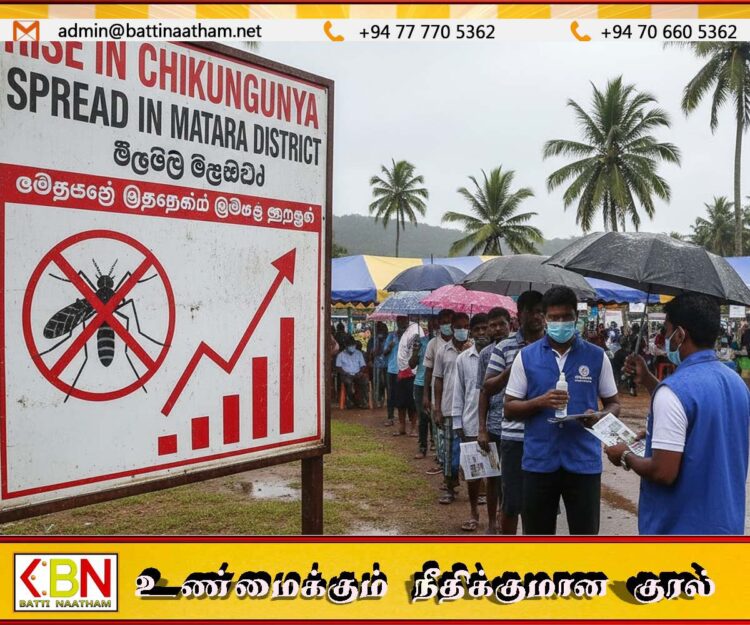 மாத்தறை மாவட்டத்தில் சிக்கன்குனியா நோய் பரவல் அதிகரிப்பு