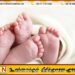 யாழ்ப்பாணத்தில் இரட்டைக் குழந்தைகள் உயிரிழப்பு