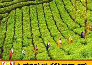 பிளிகண்டாமலை தோட்ட மக்களின் வழக்கின் அடிப்படையில் உரிமையாளருக்கு எதிராக நீதிமன்ற தடை உத்தரவு