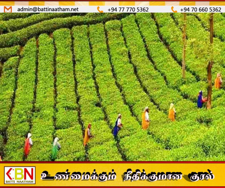 பிளிகண்டாமலை தோட்ட மக்களின் வழக்கின் அடிப்படையில் உரிமையாளருக்கு எதிராக நீதிமன்ற தடை உத்தரவு