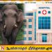 புத்தளத்தில் காட்டு யானை தாக்கி ஓய்வு பெற்ற இராணுவ சிப்பாய் உயிரிழப்பு