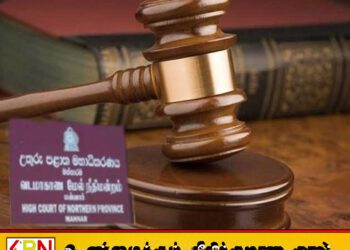 மன்னாரில் 8 வயது சிறுமி பாலியல் துஷ்பிரயோகம் – குற்றவாளிக்கு 8 வருட கடூழிய சிறைத் தண்டனை