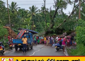 முச்சக்கர வண்டி மீது பாரிய மரம் முறிந்து விழுந்ததில் ஒருவர் உயிரிழப்பு; குழந்தை உட்பட மூவர் காயம்!
