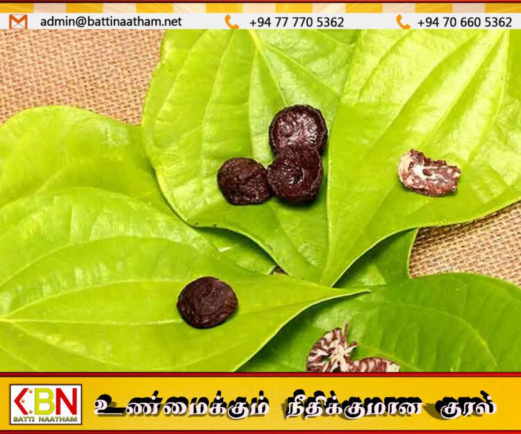 வெற்றிலை, பாக்கு பழக்கத்தால் தினமும் 9 பேர் வாய் புற்றுநோயால் பாதிப்பு; வெளியான தகவல்