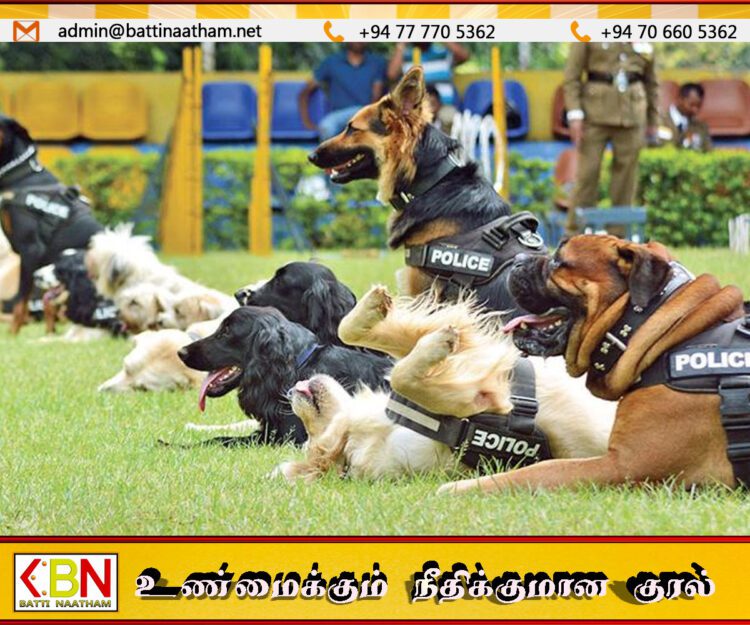 பாடசாலைகளில் போதைப்பொருள் சோதனை; பொலிஸ் மோப்ப நாய்களின் உதவியுடன்