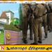 பேராதனைப் பல்கலைக்கழக மகளிர் விடுதி அருகே மனித கரு என சந்தேகிக்கப்படும் பாகங்கள் கண்டுபிடிப்பு