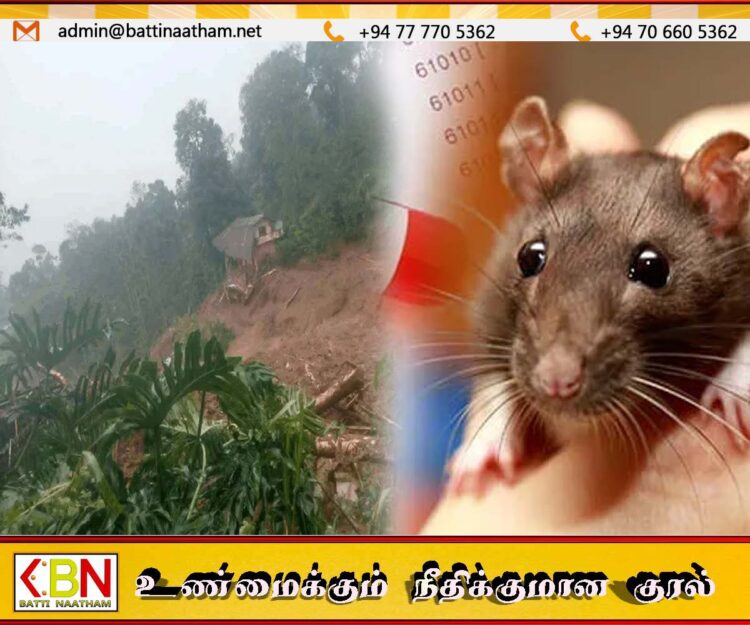 வெள்ளத்தினால் நாடுமுழுவதும் எலிக்காய்ச்சல் தொற்று ஏற்படும் அபாயம்