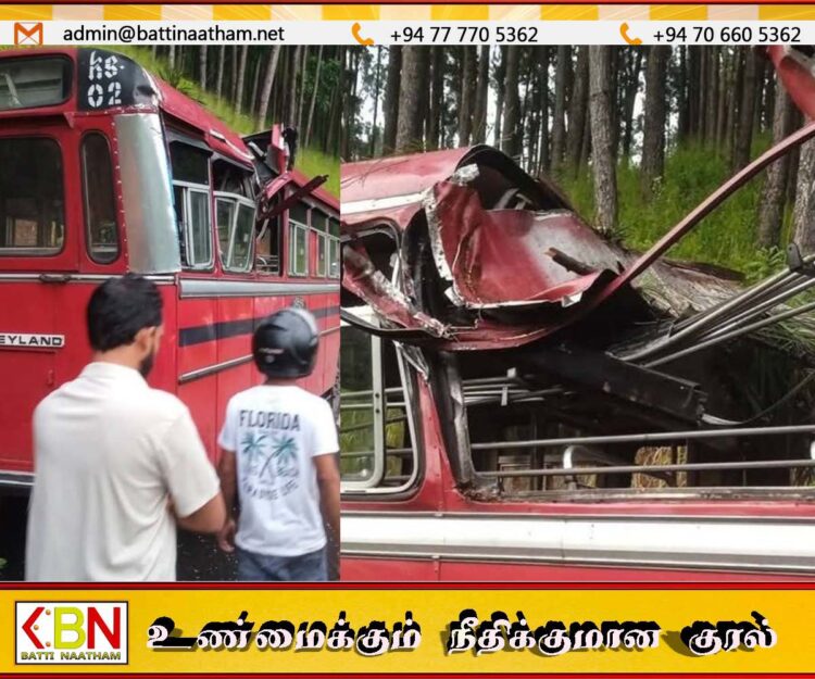 பேருந்தின் மீது மரம் முறிந்து விழுந்ததில் ஒருவர் பலி
