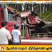 பேருந்தின் மீது மரம் முறிந்து விழுந்ததில் ஒருவர் பலி