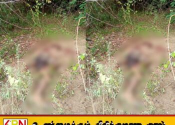 மட்டு கார் மலைப்பகுதியில் யானை தாக்குதலுக்கு இலக்காகி பண்ணையார் உயிரிழப்பு