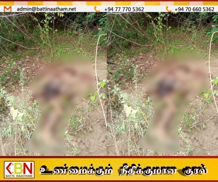 மட்டு கார் மலைப்பகுதியில் யானை தாக்குதலுக்கு இலக்காகி பண்ணையார் உயிரிழப்பு