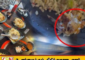 கட்டுநாயக்க-மட்டக்களப்பு பிரதான வீதி; பிரைட் ரைஸில் கிடந்த கோழி இறைச்சியில் புழு
