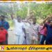ஏறாவூர் பற்று பிரதேச சபை பிரிவில் யானைகளின் அட்டகாசம்; ஆர்ப்பாட்டம் செய்யும் தவிசாளர்!