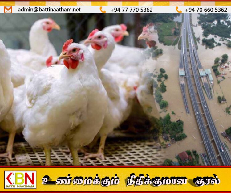 வெள்ள பெருக்கு தாக்கத்தால் 15 இலட்சம் கோழிகள் உயிரிழப்பு; முட்டை விலை உயரும் அபாயம்