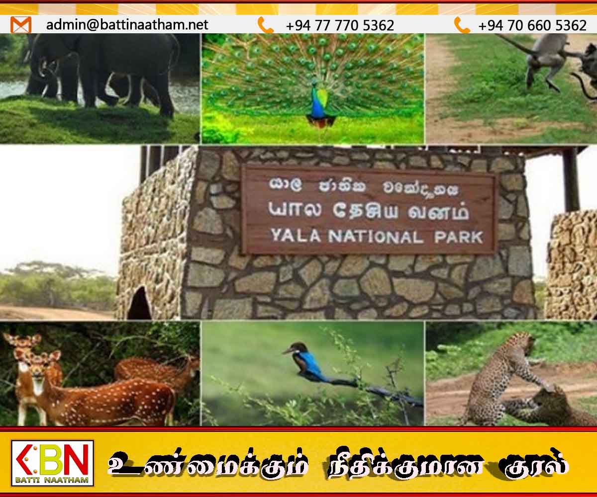 டித்வா சூறாவளியால் மூடப்பட்ட தேசிய பூங்காக்கள் மீண்டும் சுற்றுலா பயணிகளுக்காக திறப்பு!