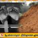 மினிப்பே – நெலும்கம பகுதியில் இருந்து 22 சடலங்கள் மீட்பு
