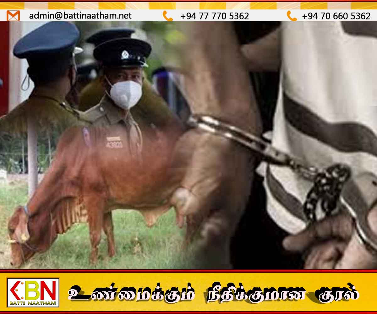 பசுமாட்டை திருடிய கிரான் மற்றும் புலிபாய்ந்தகல்லைச் சேர்ந்த மூவர் வாழைச்சேனை பொலிசாரால் கைது