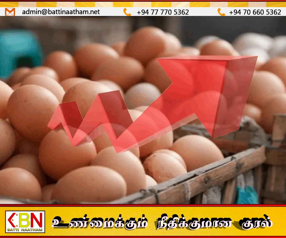 சந்தையில் முட்டை விலை திடீர் உயர்வு