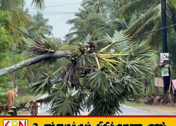 டித்வா புயல் தாக்கம்; உயிரிழப்பு 355 ஆக உயர்வு