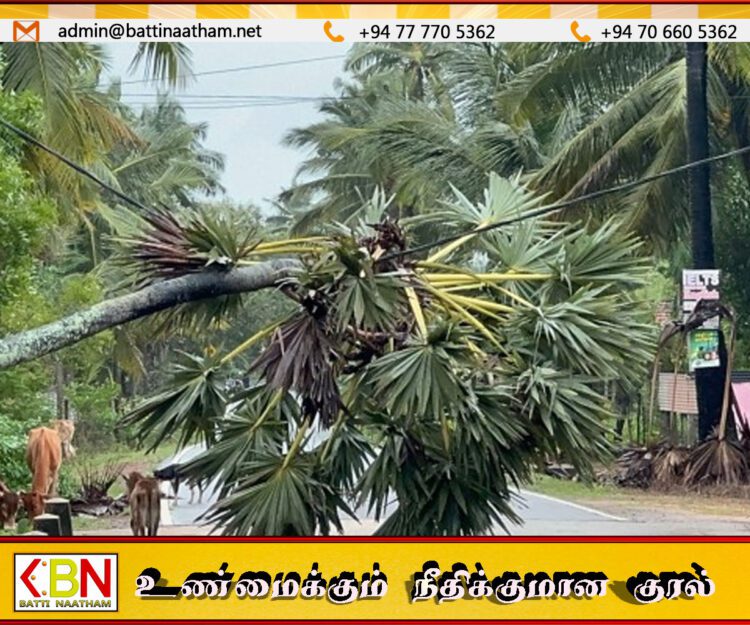 டித்வா புயல் தாக்கம்; உயிரிழப்பு 355 ஆக உயர்வு