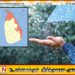 வடகிழக்கில் பருவ மழை டிசம்பர் 4 முதல் அதிகரிக்கும் என எதிர்பார்ப்பு; வளிமண்டலவியல் திணைக்களம்