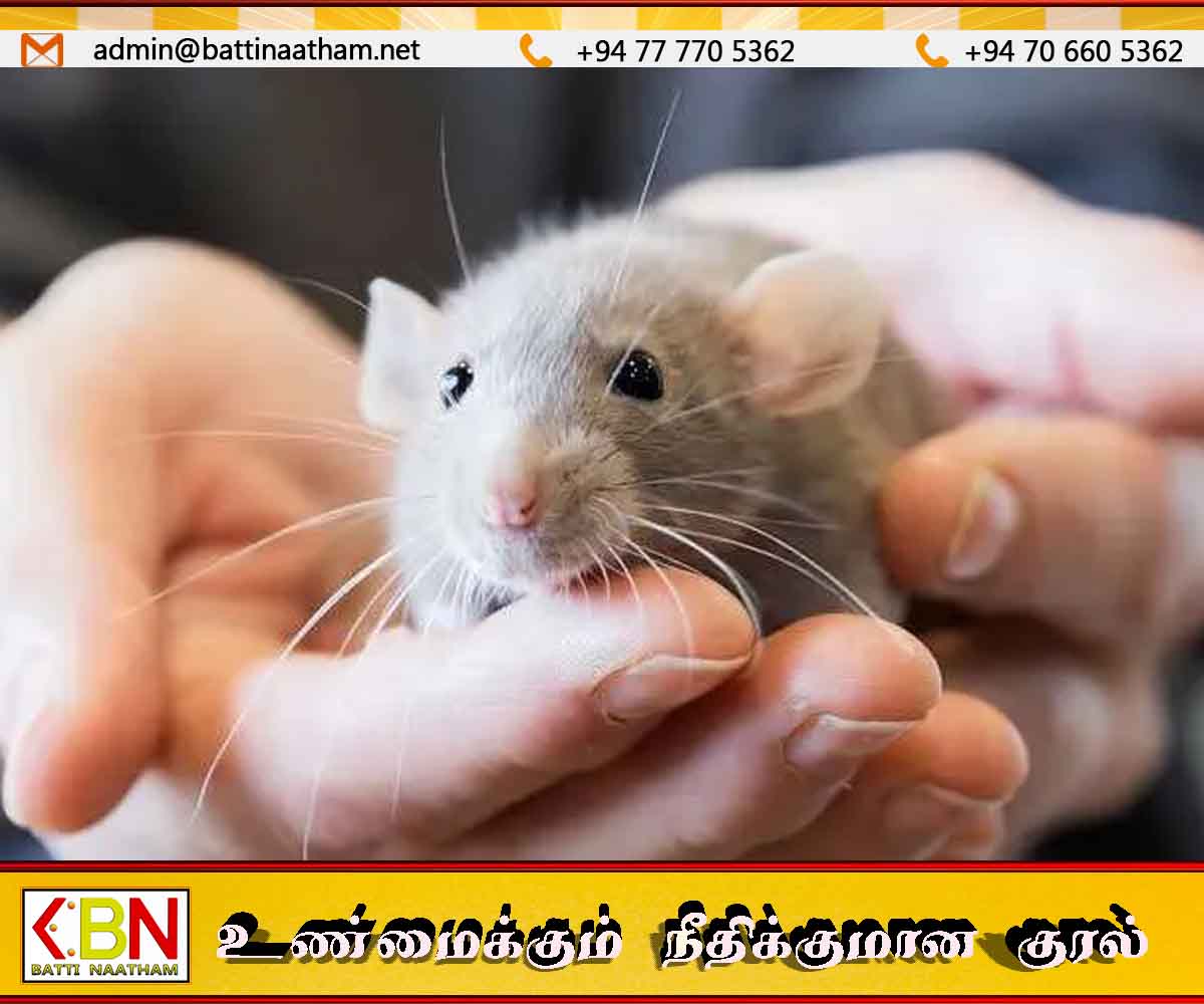 விண்வெளியில் பாலூட்டிகளின் இனப்பெருக்கம் குறித்து சீனா ஆய்வு