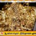 சாவகச்சேரியில் 15 பவுண் தங்க நகைகள் திருட்டு!