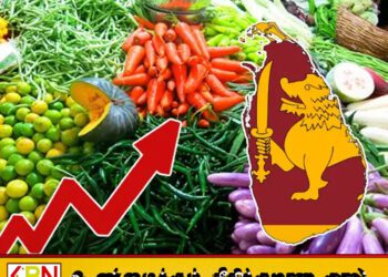 மரக்கறிகளின் விலைகள் சடுதியாக உயர்வு