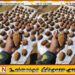 வெள்ளத்தின் வெளிவந்திருந்த வெடிப்பொருட்கள்; கிண்ணியாவில் 36 கைக்குண்டுகள் மீட்பு