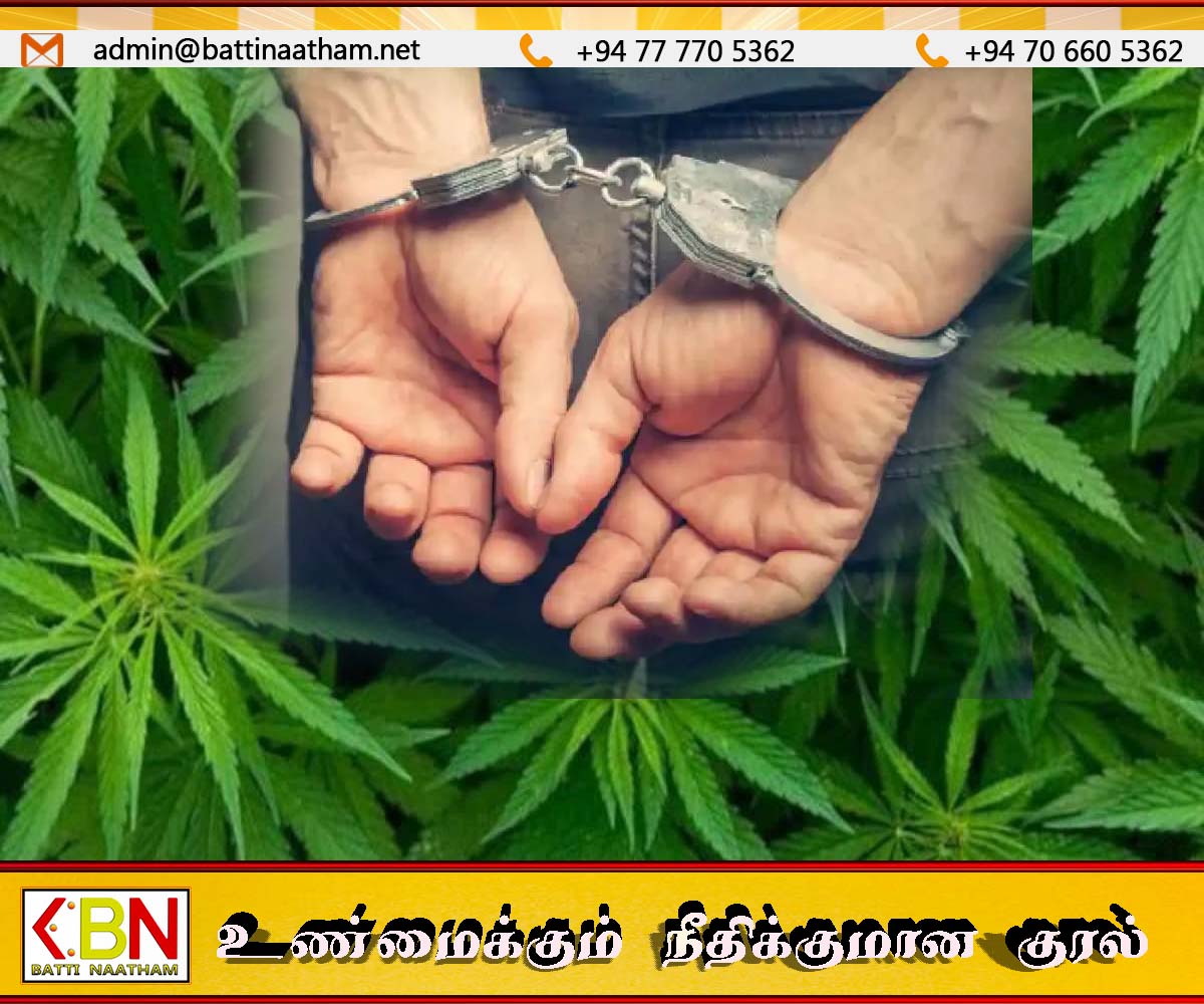 கஞ்சா சோதனை நடத்திய பொலிஸை தாக்கிய தேசியமக்கள் சக்தி எம்.பி