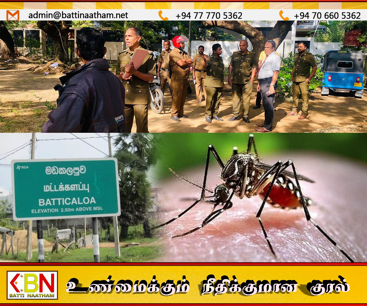 மட்டக்களப்பில் டெங்கு தாக்கம்; இந்த ஆண்டில் மட்டும் 270க்கும் மேல் அடையாளம்