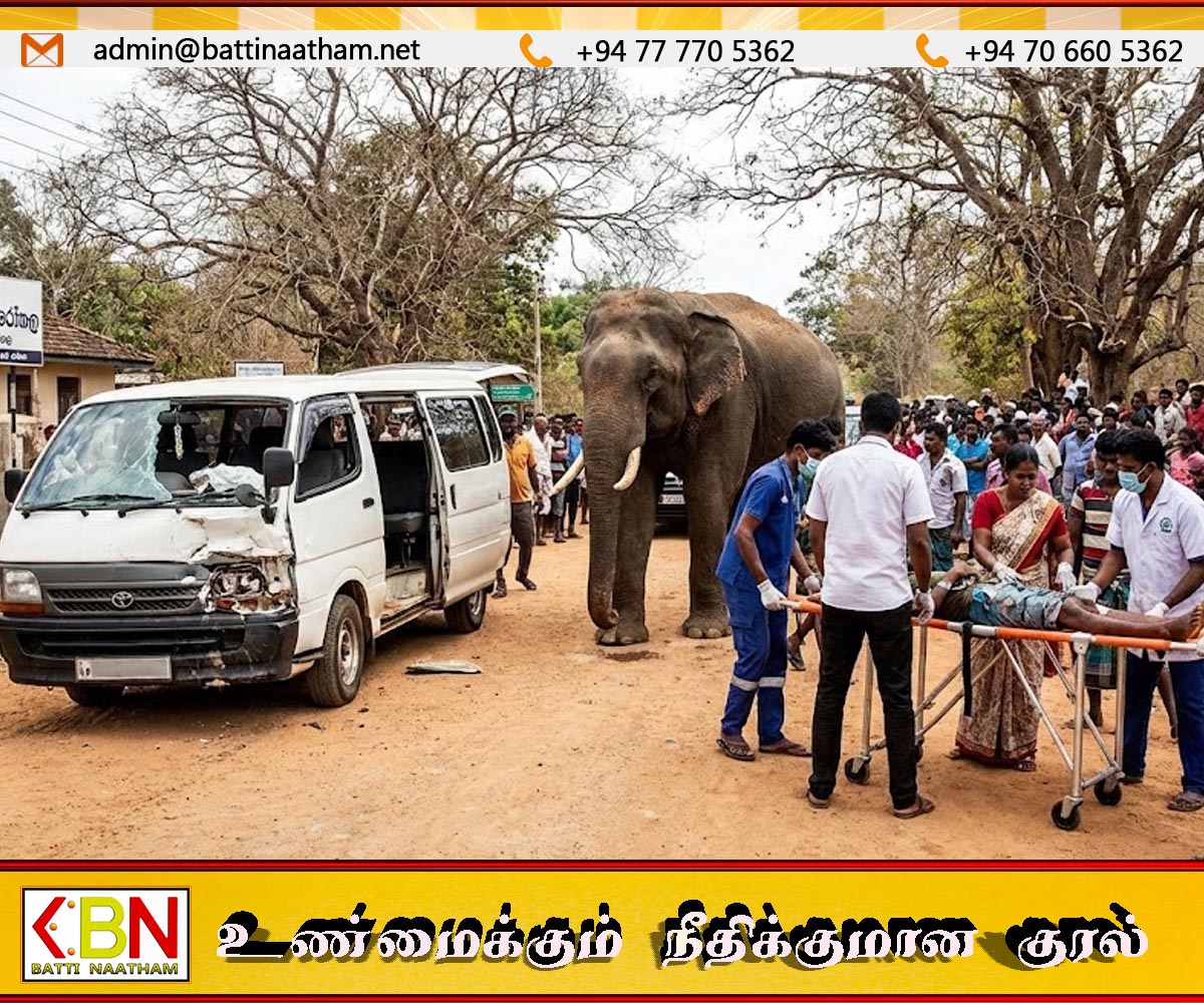 ஹபரணையில் வேன் மீது மோதிய காட்டு யானை; இருவர் வைத்தியசாலையில் அனுமதி
