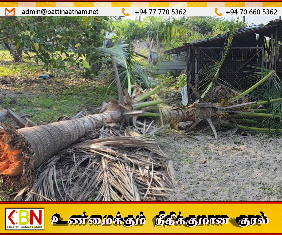 திருகோணமலை உப்பூறல் கிராமத்தில் காட்டு யானைகள் அட்டகாசம்; வீடு, தென்னை மரங்கள் சேதம்