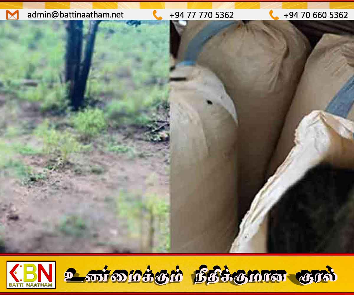 150 கிலோக்கும் அதிக கஞ்சாவுடன் நபர் ஒருவர் கைது