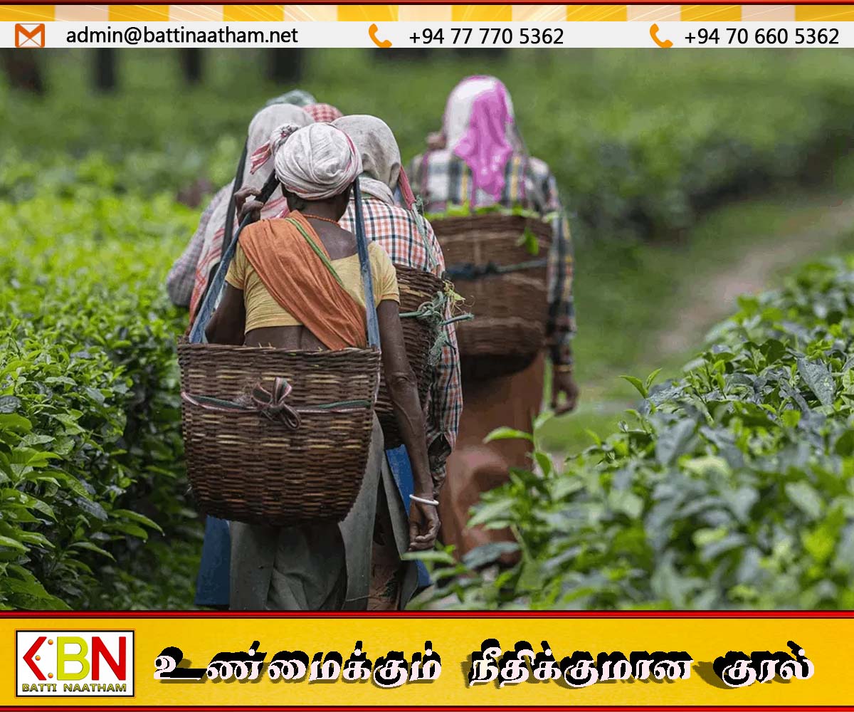 தோட்ட தொழிலாளர்களுக்கான சம்பள உயர்வு; அமைச்சரவை அனுமதி