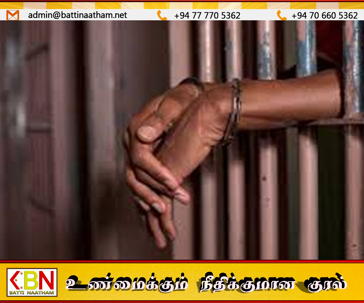 ஆடுகளை சொகுசு காரில் கடத்தி வந்த இருவர் உட்பட மூவருக்கு விளக்கமறியல்