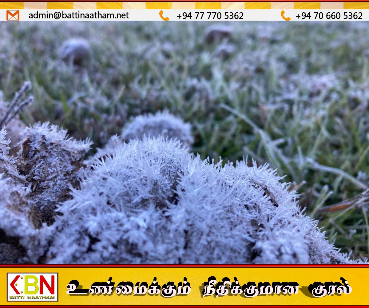 நுவரெலியாவில் இன்று வரலாறு காணாத வகையில் மிகக் கடுமையான துகள் உறைபனி பொழிவு