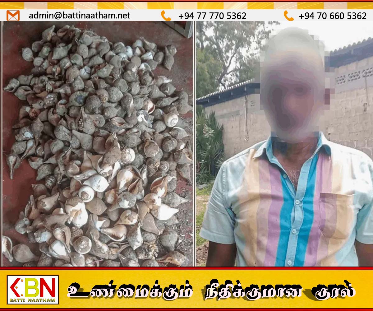 தலைமன்னாரில் சட்டவிரோதமான 1158 சங்குகளுடன் ஒருவர் கைது