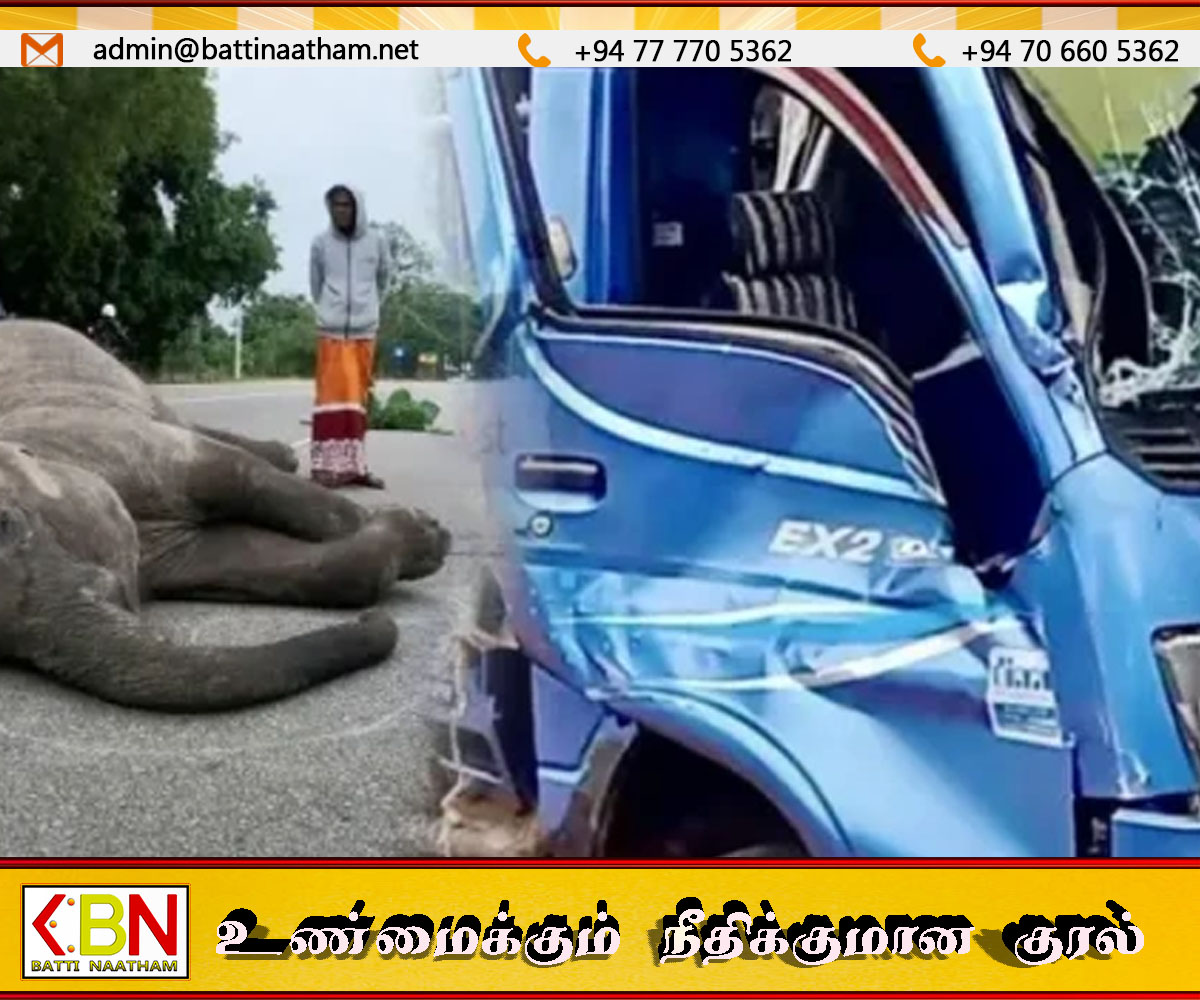 குருணாகல், கல்கமுவ பகுதியில் லொறியுடன் மோதுண்டு யானைக் குட்டி உயிரிழப்பு!