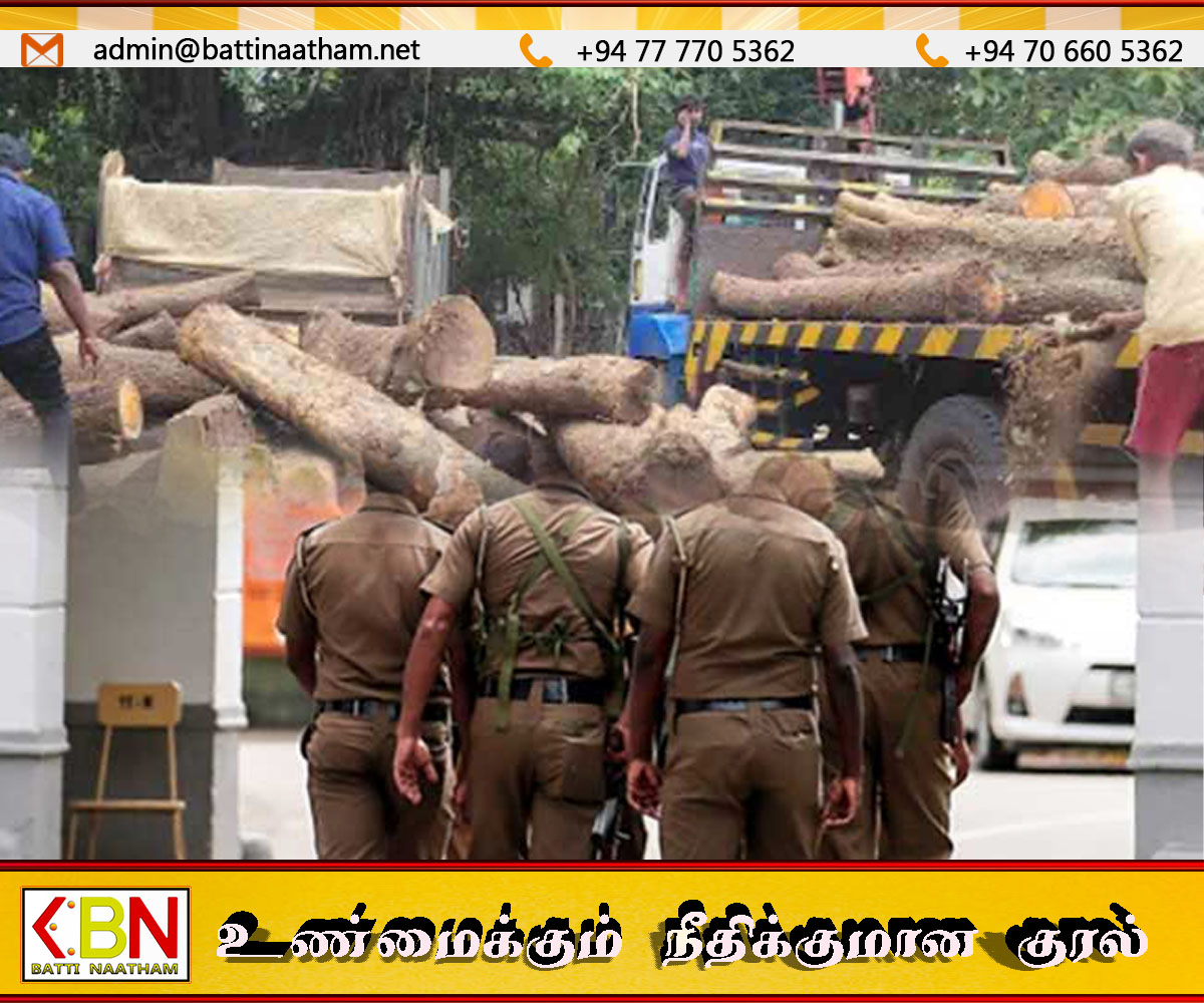 சாவகச்சேரியில் 30 இலட்சம் ரூபா பெறுமதியான மரக்குற்றிகள் பறிமுதல்