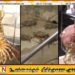 தடை செய்யப்பட்ட சிங்கி இறால்களுடன் மீனவர் ஒருவர் கைது