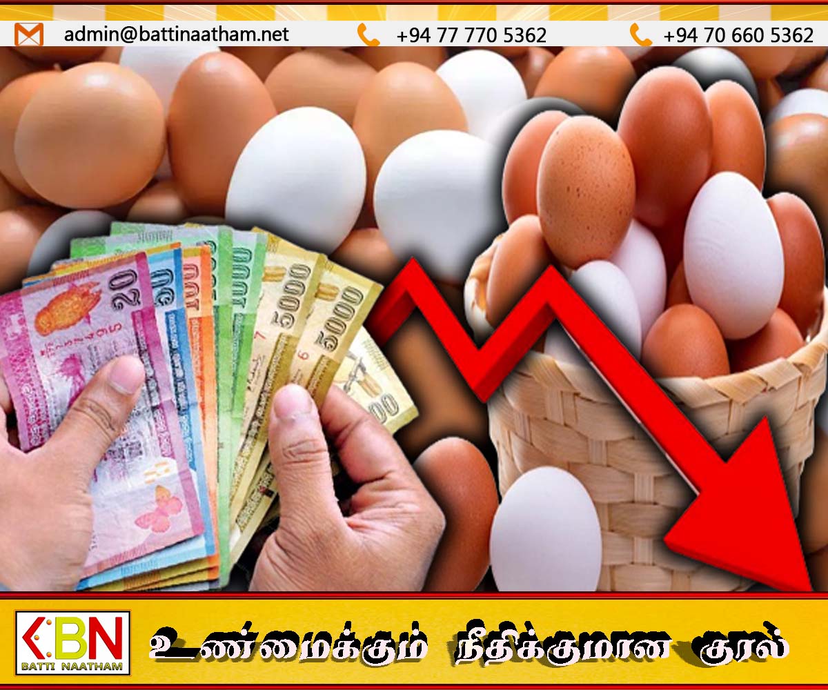 சந்தையில் முட்டை விலை வேகமாக வீழ்ச்சி