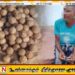 திருகோணமலையில் சட்டவிரோதமாக 117 ஆமை முட்டைகள் வைத்திருந்த நபர் கடற்படையினரால் கைது