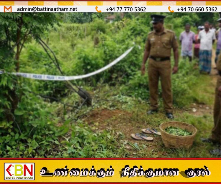 கலகாவில் மின்சாரம் தாக்கி தாயும் மகளும் உயிரிழப்பு
