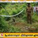 கலகாவில் மின்சாரம் தாக்கி தாயும் மகளும் உயிரிழப்பு