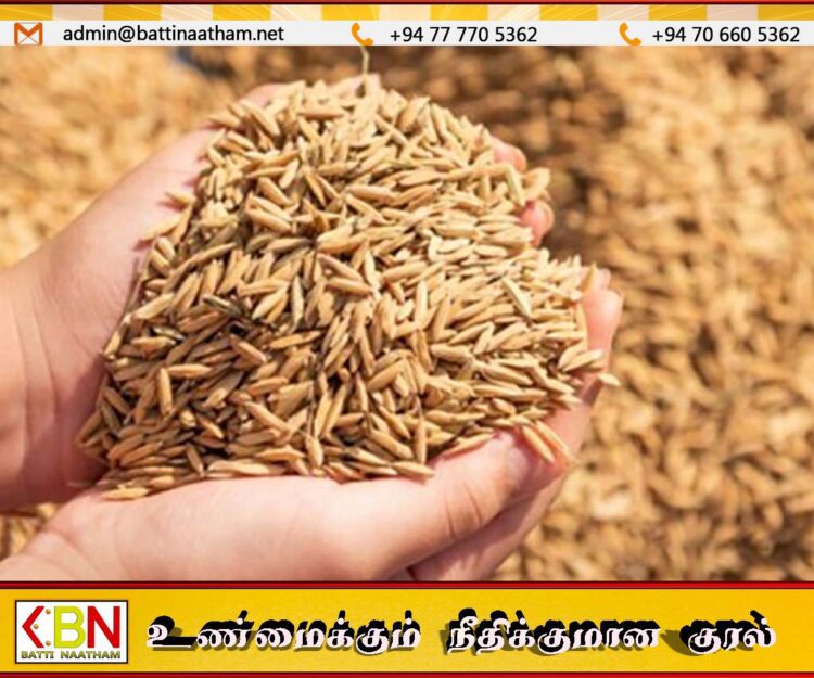 2025 – 2026 பெரும்போக நெல் கொள்வனவு விலைகள் அறிவிப்பு