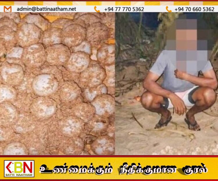 பலப்பிட்டியவில் 108 ஆமை முட்டைகளுடன் ஒருவர் கைது!
