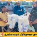 சாய்ந்தமருதில் தயிர் உற்பத்தி மற்றும் விற்பனை இடங்கள் சுற்றிவளைப்பு