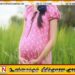 பரீட்சைக்கு முன் மாணவி தாயான சம்பவம்; காதலன் குறித்து பொலிஸார் விசாரணை