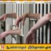 78வது தேசிய சுதந்திர தினத்தை முன்னிட்டு 49 கைதிகளுக்கு பொது மன்னிப்பு வழங்க தீர்மானம்